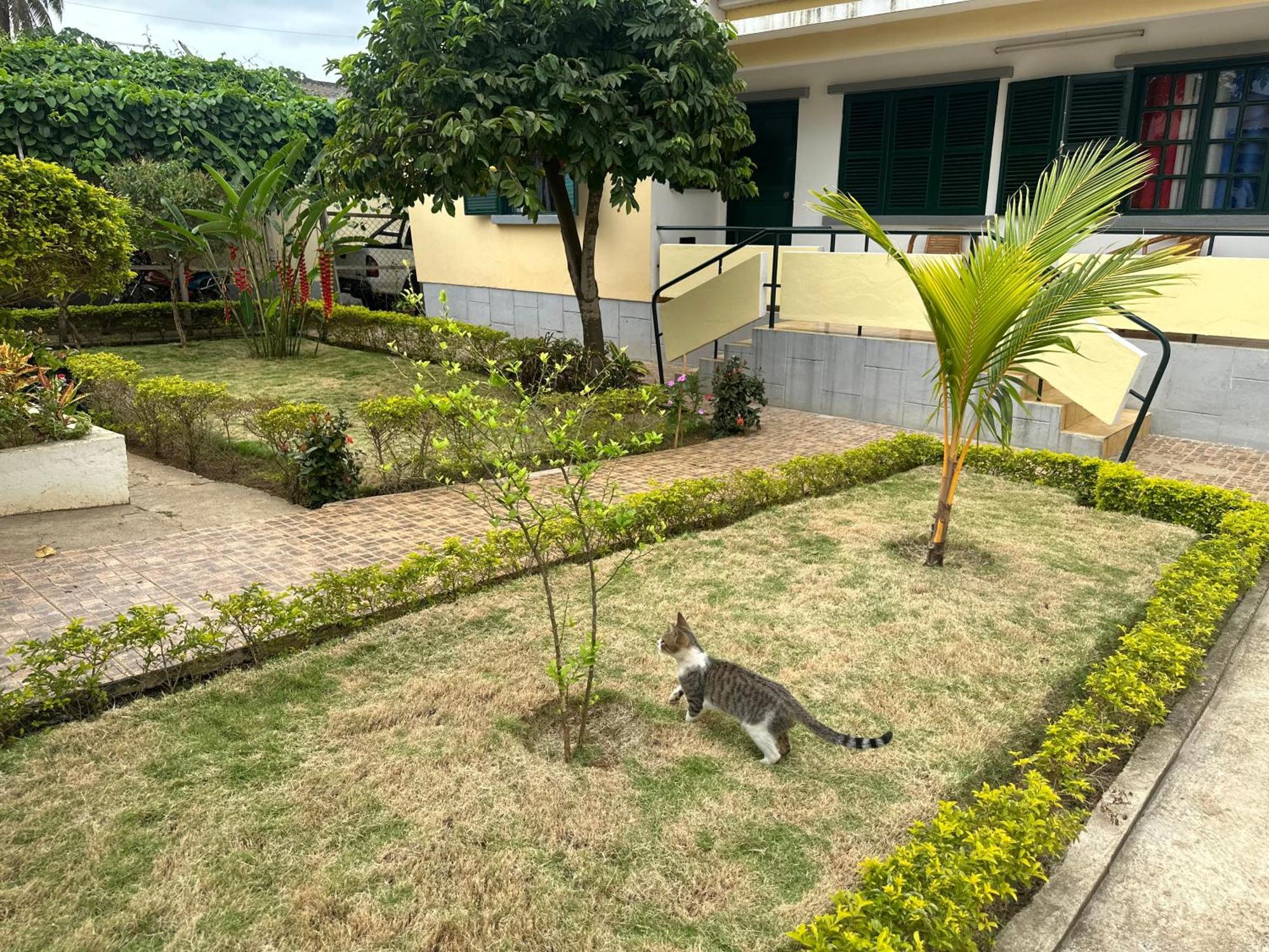 Ferienwohnung J Nova Lda Sao Tome Exterior foto